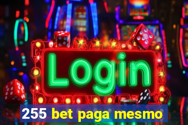 255 bet paga mesmo